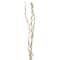 Cream Curly Willow Branch Bundle by Ashland®